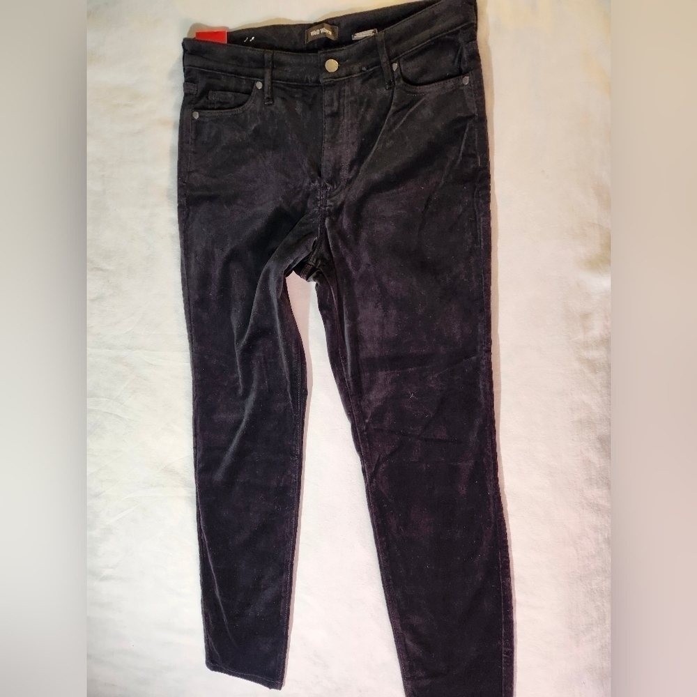 Well Worn luxe velvet NWT high-rise cotton  tapered pant sz 8